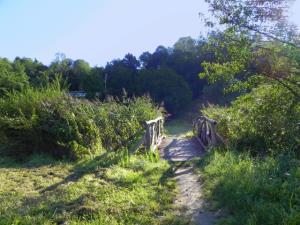 Zdravilni park Sveta Trojica 2